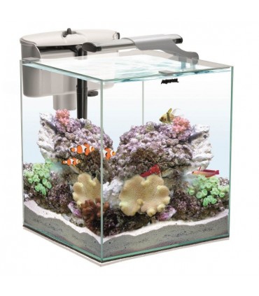 Aquael Zestaw Nano Reef Duo