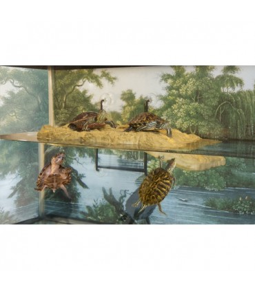 ZOO MED Pływająca wyspa dla żółwi