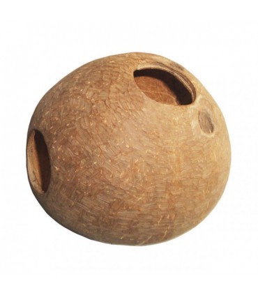 Kokos skorupa łupina Oczyszczona (szczotkowana)