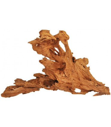 Happet Korzeń MANGROWIEC L 40-60 cm