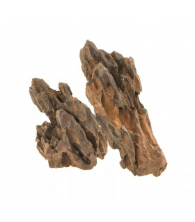 Naturalny Kamień Dragon/Dinosaur Stone