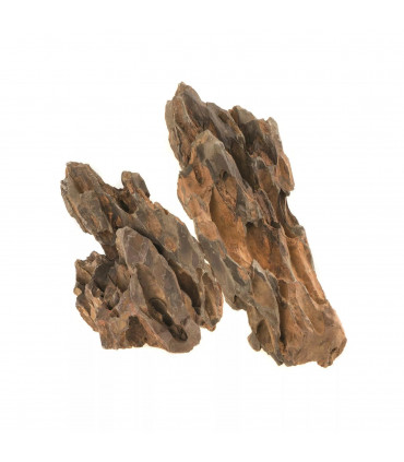 Naturalny Kamień Dragon/Dinosaur Stone