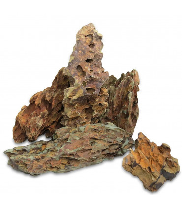 Naturalny Kamień Dragon/Dinosaur Stone