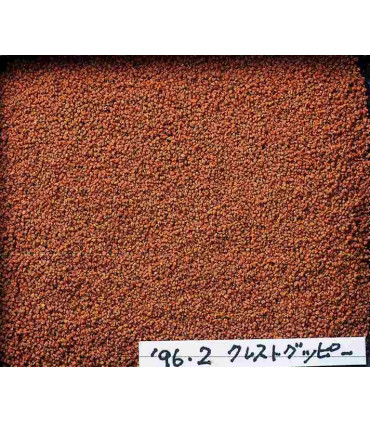 Hikari Fancy Guppy Pokarm dla Gupików