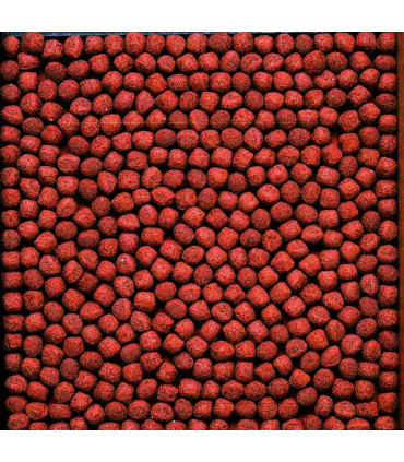 Hikari Cichlid Gold Pokarm wybarwiający dla Pielęgnic