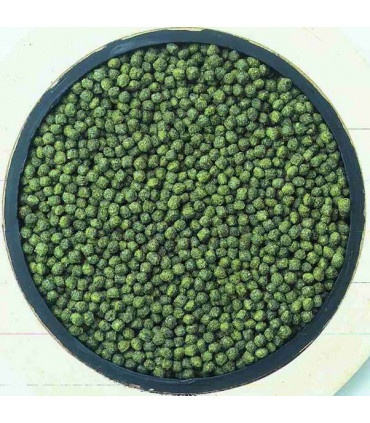 Hikari Cichlid Excel Mini pellet Pokarm 250g