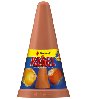 Stożek Tarliskowy Tropical