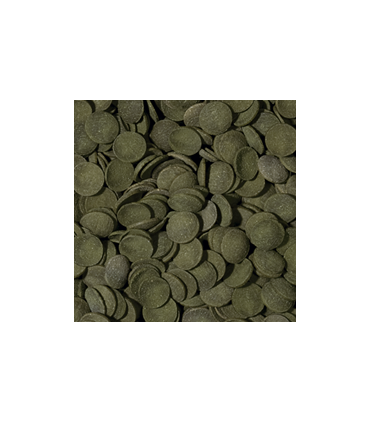 Tropical GREEN ALGAE WAFERS 1000ml/450g
