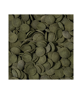 Tropical GREEN ALGAE WAFERS Uzupełnienie 115g