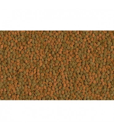 Tetra Wafer Mix 15g