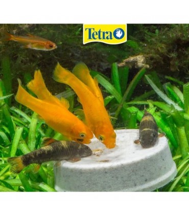 Tetra Holiday Pokarm wakacyjny