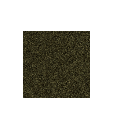 Tropical CARIDINA NANO STICKS