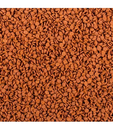 Tropical Soft Line Africa Carnivore M