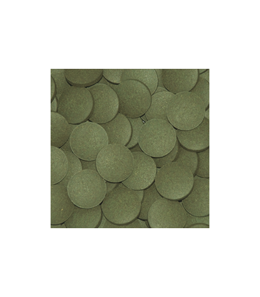 Tropical Pleco's Tablets