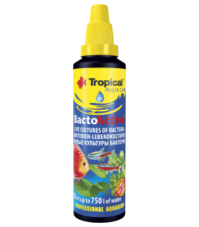 Tropical Bacto Active 100ml